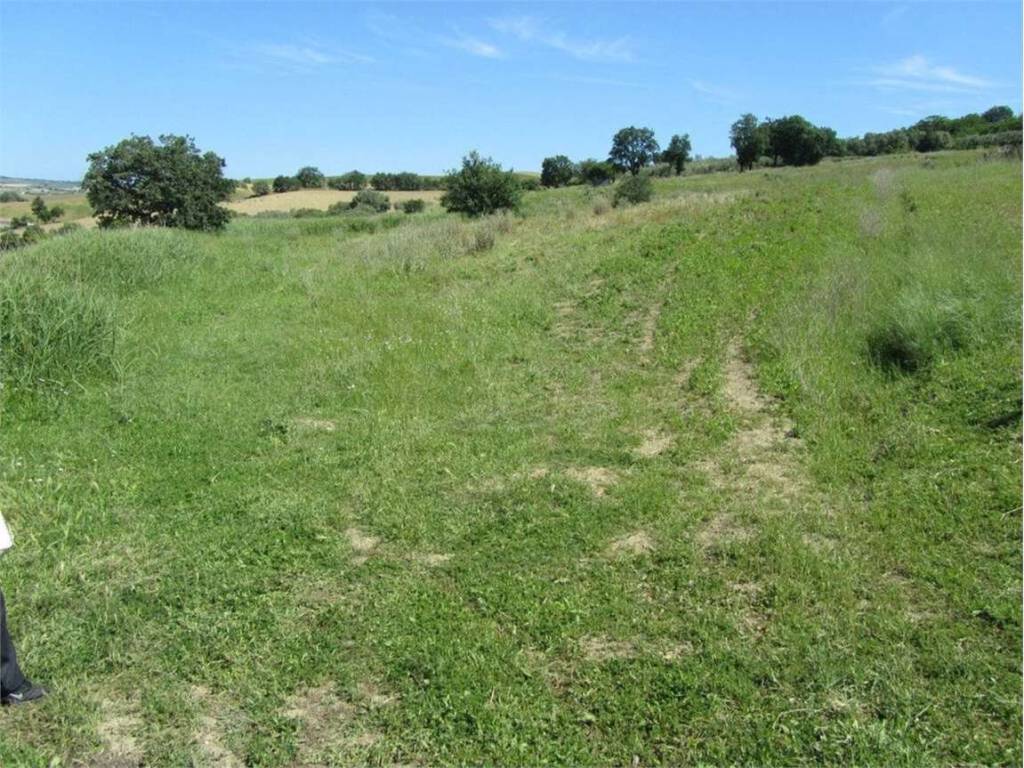 Terreno a Guglionesi in Monte Antico, 0 - Foto 4