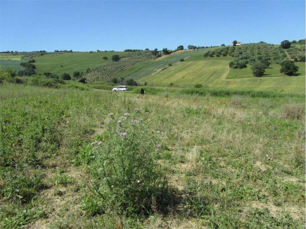 Terreno a Guglionesi in Monte Antico, 0 - Foto 5