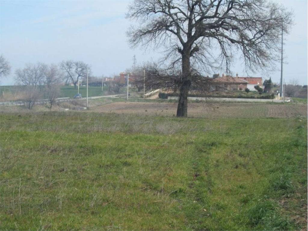 Terreno a Petacciato in Adriatico, 0 - Foto 4