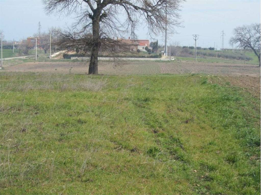 Terreno a Petacciato in Adriatico, 0 - Foto 5