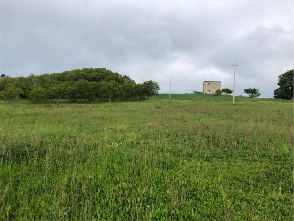 Rustico / casale a Palata in Provinciale 163, 0 - Foto 3