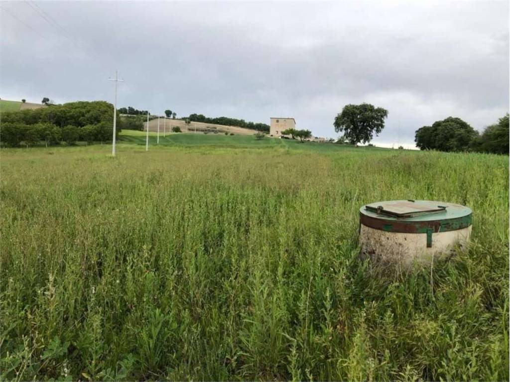Rustico / casale a Palata in Provinciale 163, 0 - Foto 4