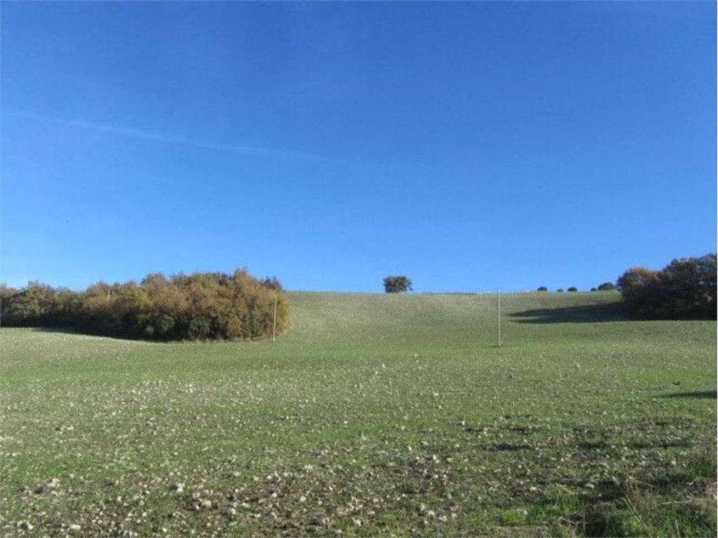 Terreno a Larino in Monte, 14 - Foto 3