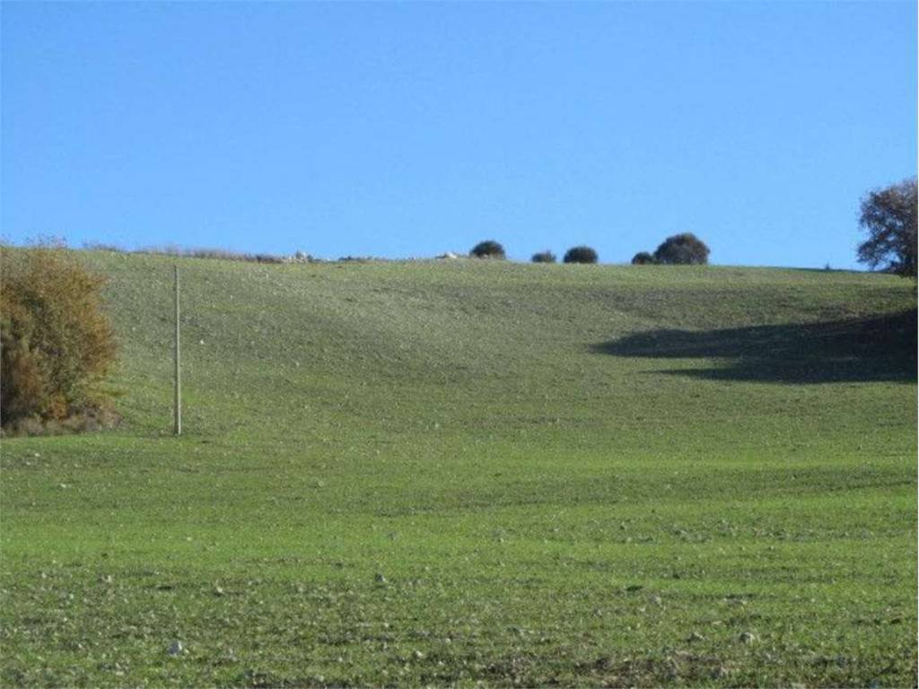 Terreno a Larino in Monte, 14 - Foto 4