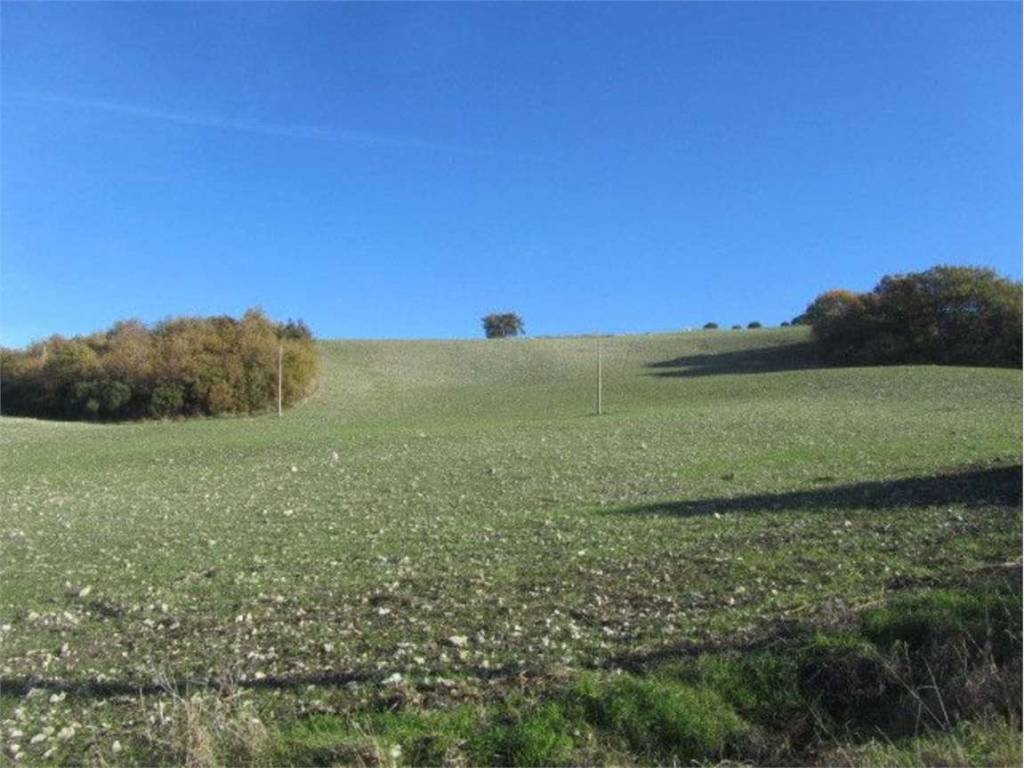 Terreno a Larino in Monte, 14 - Foto 5