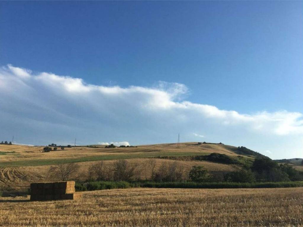 Terreno a Guglionesi in Macchie, 0 - Foto 4