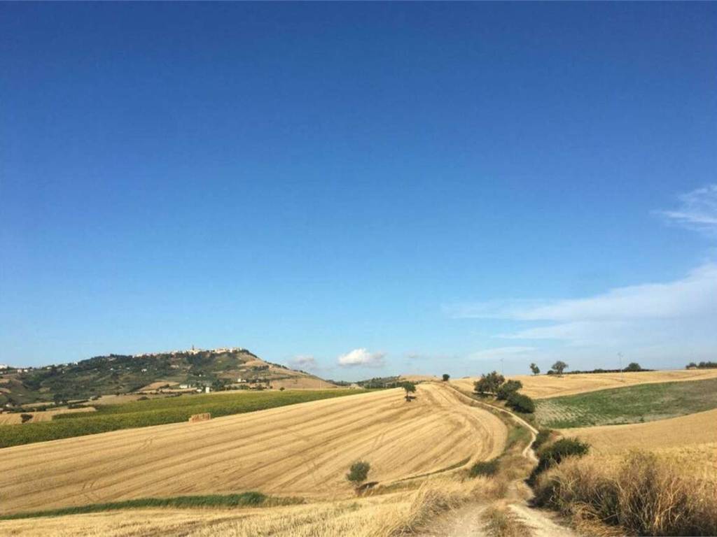 Terreno a Guglionesi in Macchie, 0 - Foto 5