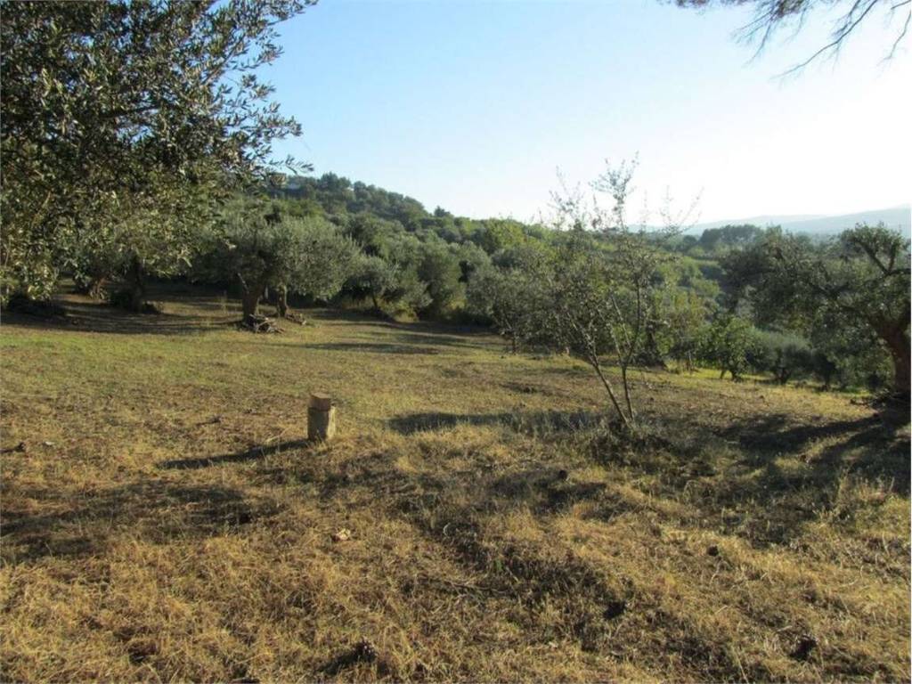 Terreno a Guglionesi in Monte Antico, 0 - Foto 2