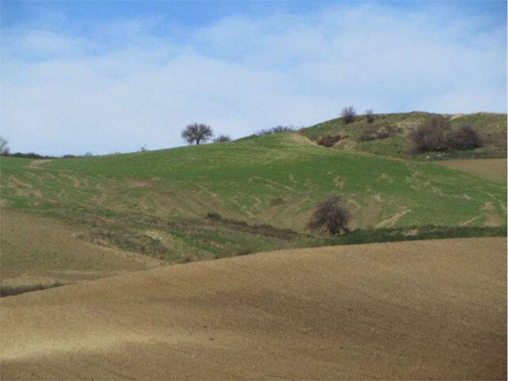 Terreno a Guglionesi in Santa Chiara, 0 - Foto 3