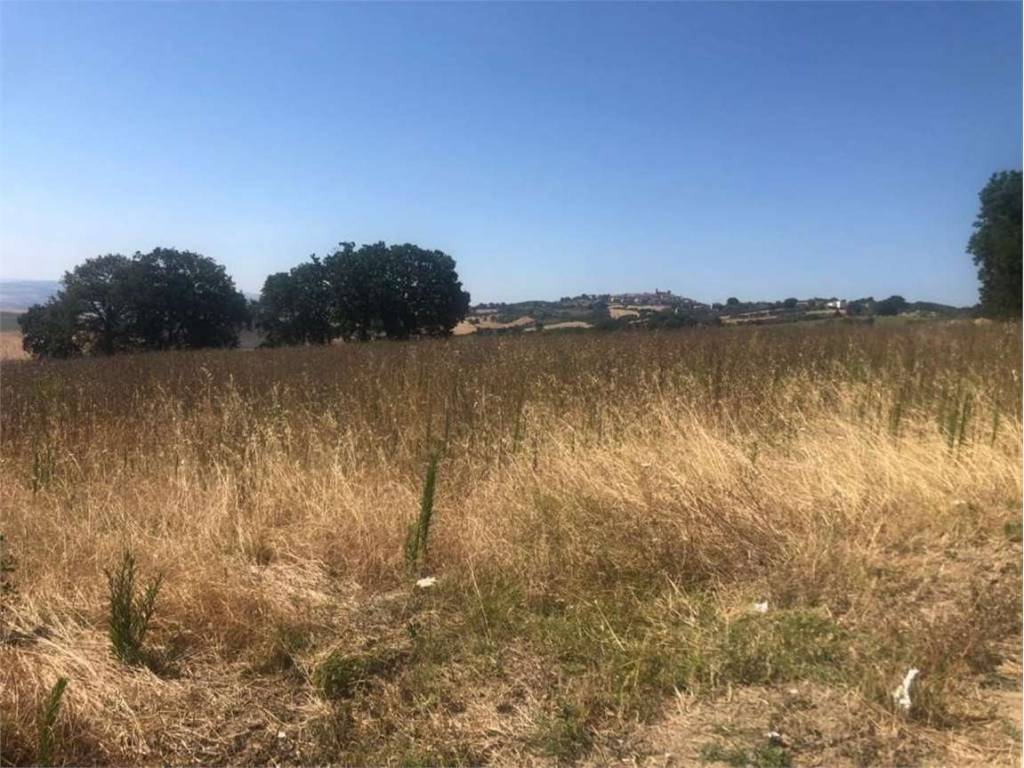 Terreno a Montecilfone in Staffiglione, 0 - Foto 2
