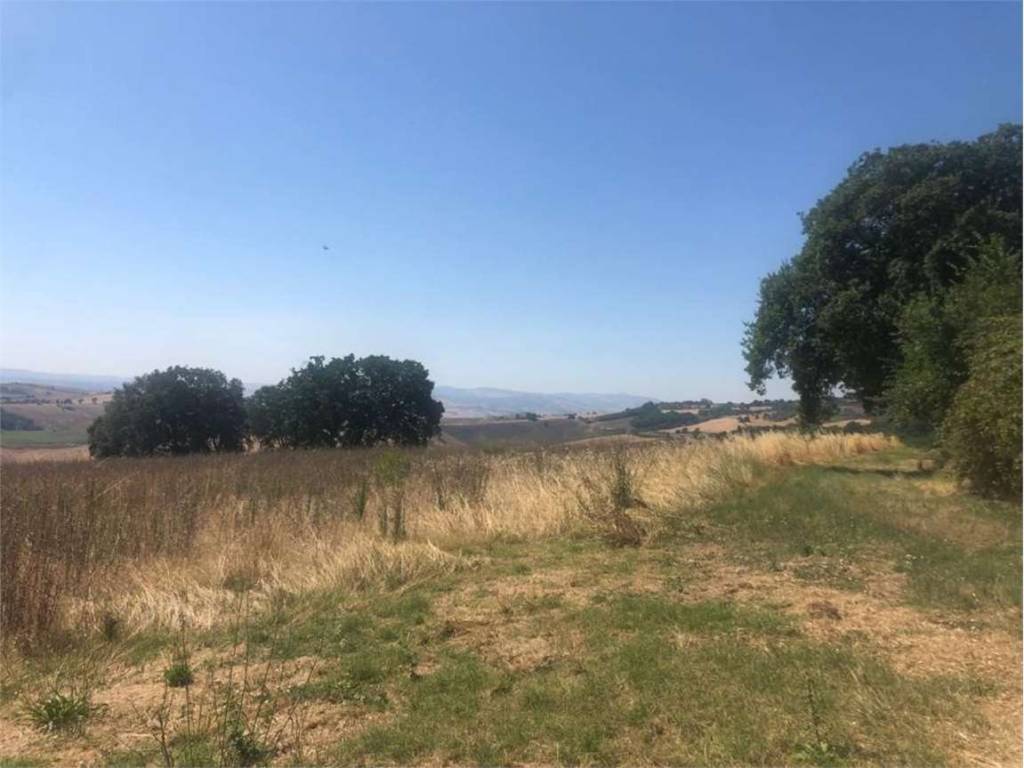 Terreno a Montecilfone in Staffiglione, 0 - Foto 5
