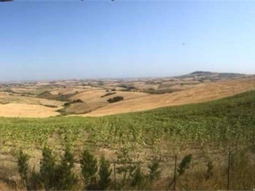Terreno a Montenero di bisaccia in Difesa Grande, 6 - Foto 4