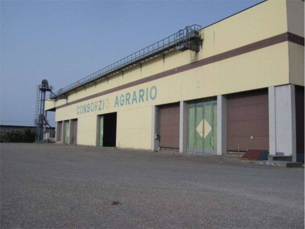 Immobile a Termoli in Giulio Pastore, 12 - Foto 3