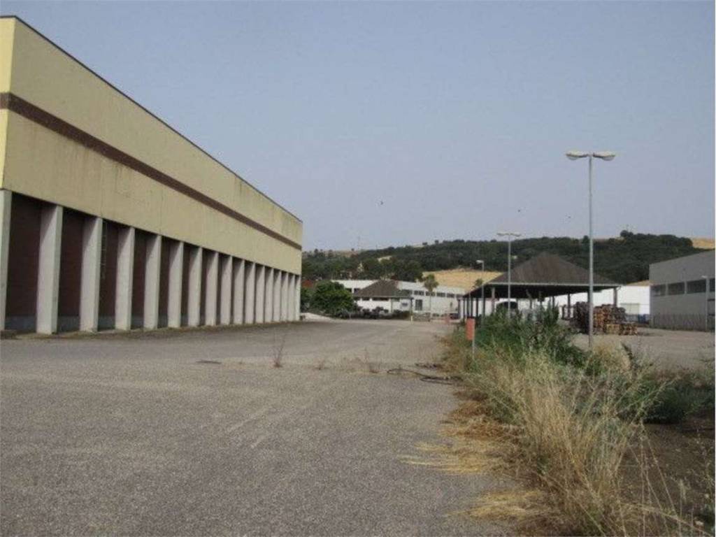 Immobile a Termoli in Giulio Pastore, 12 - Foto 4