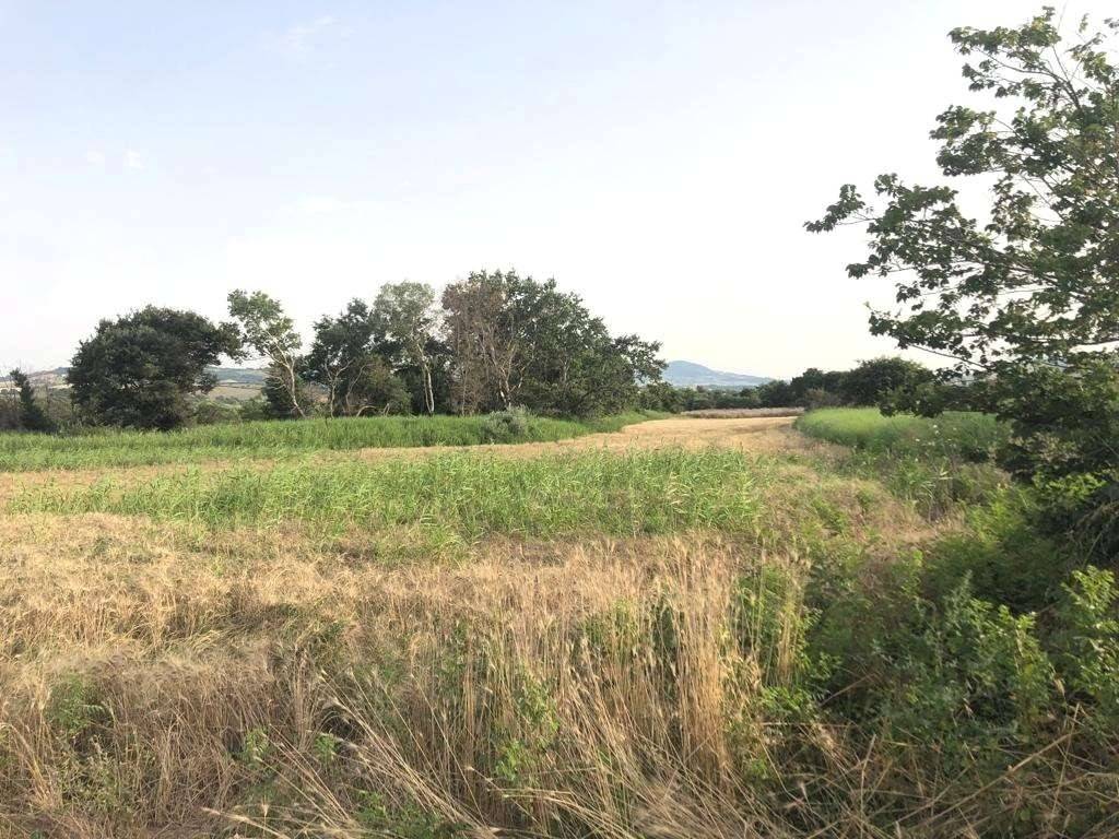 Terreno a Guglionesi - Foto 2