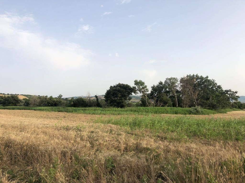 Terreno a Guglionesi - Foto 3