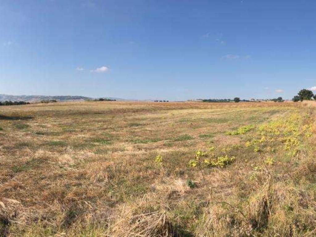 Terreno a Guglionesi - Foto 2