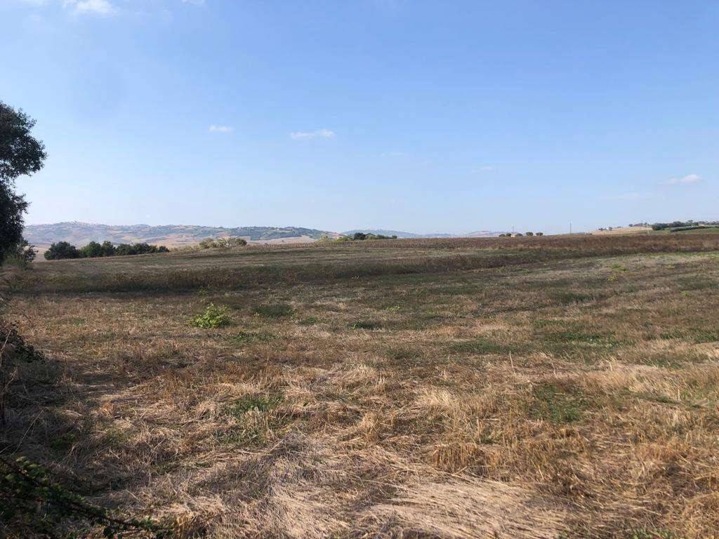 Terreno a Guglionesi - Foto 3