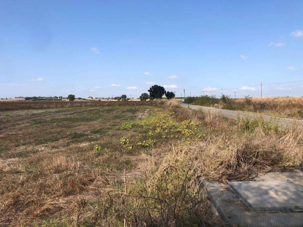 Terreno a Guglionesi - Foto 5