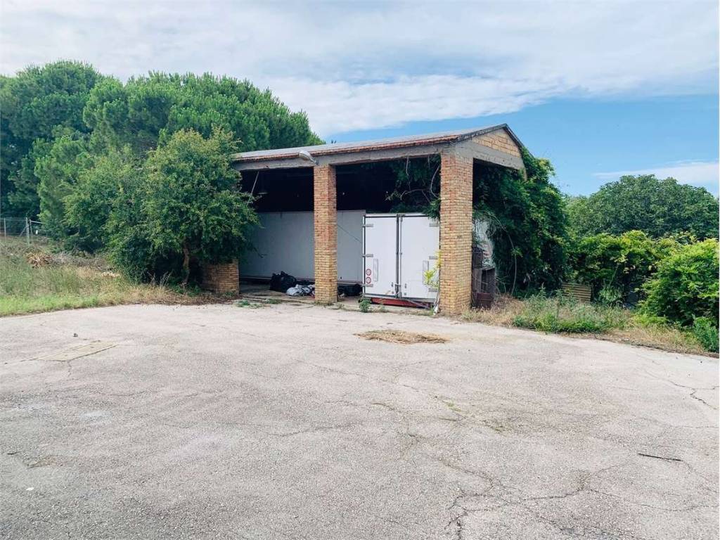 Rustico / casale a Termoli - Foto 3