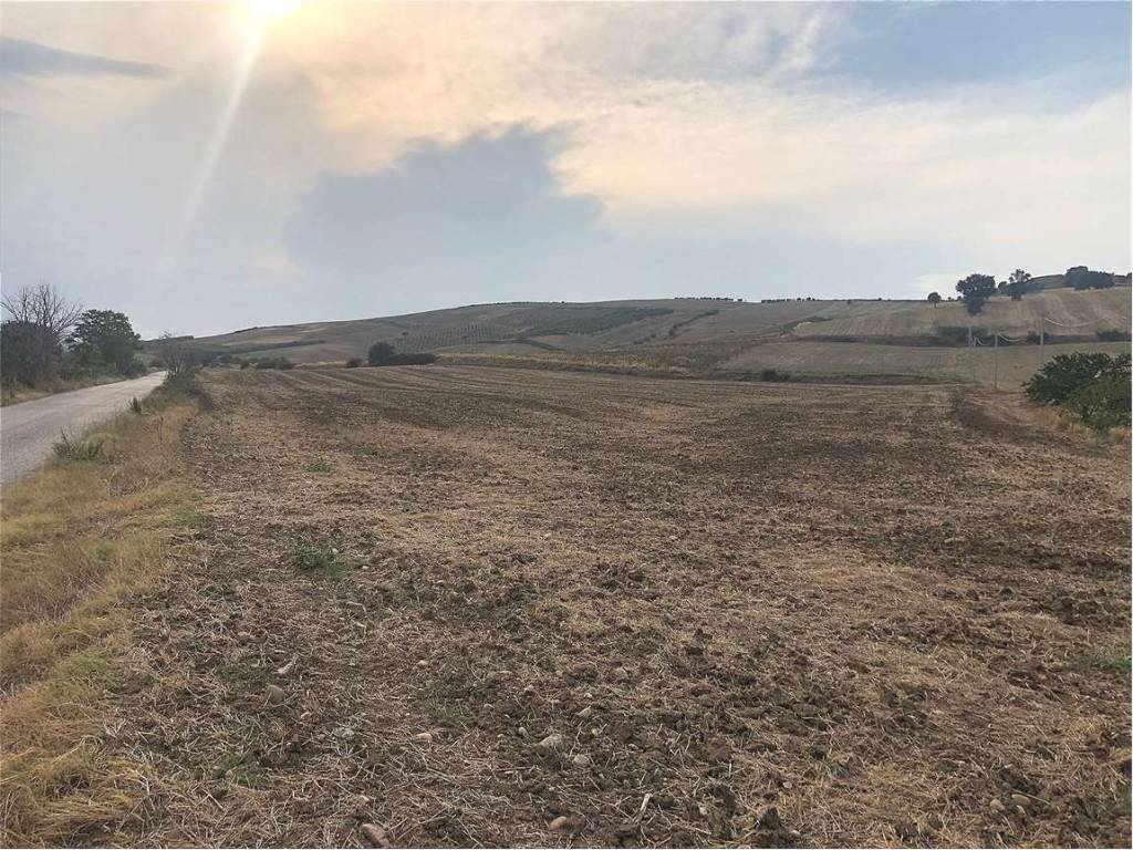 Terreno a Guglionesi - Foto 4