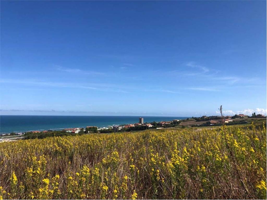 Terreno a Termoli - Foto 4