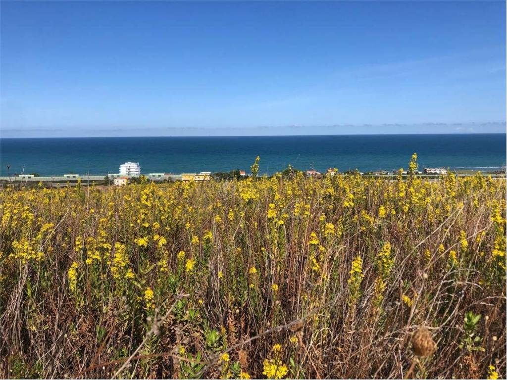 Terreno a Termoli - Foto 5