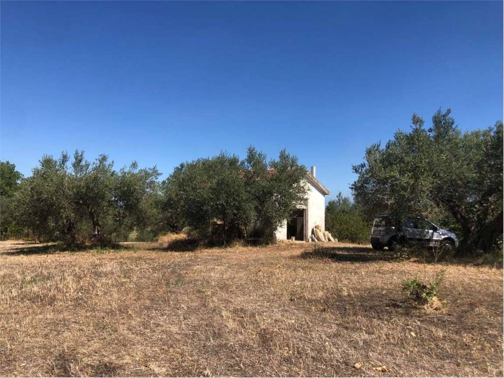 Terreno a Guglionesi - Foto 2