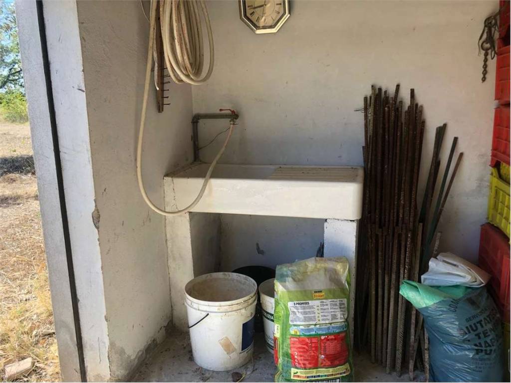 Terreno a Guglionesi - Foto 4