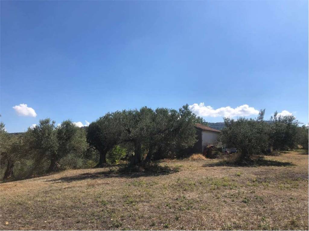 Terreno a Guglionesi - Foto 5