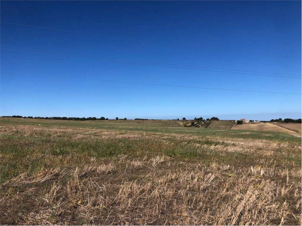 Terreno a Termoli - Foto 4