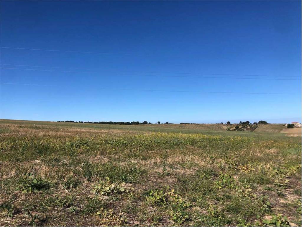 Terreno a Termoli - Foto 5