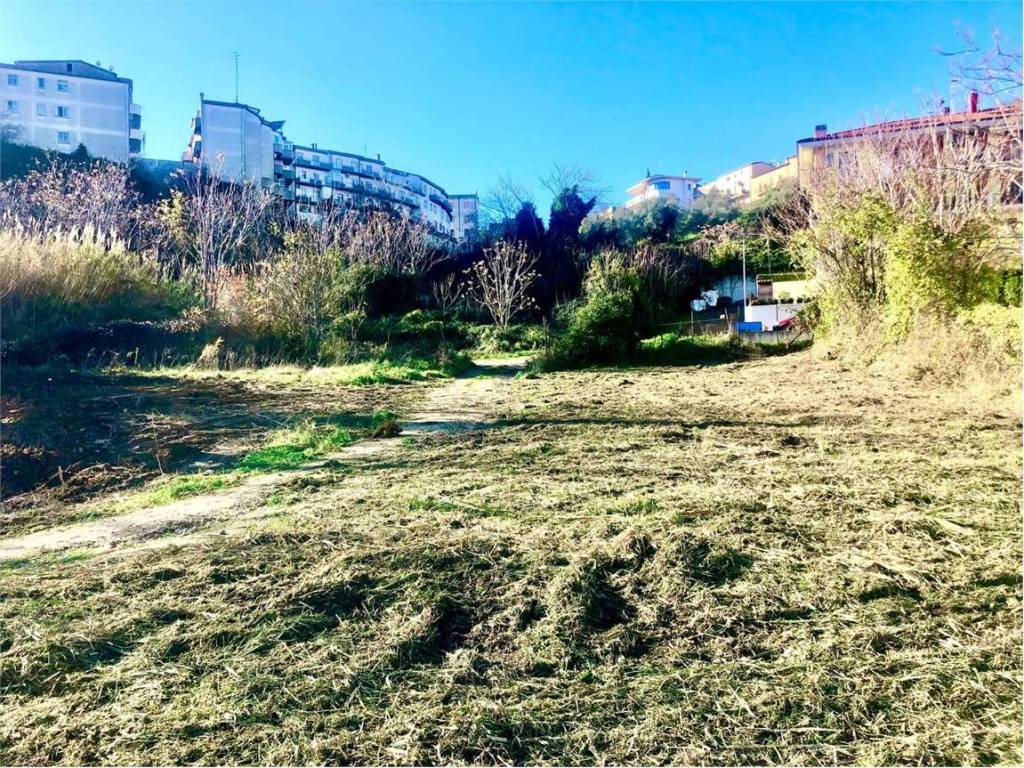 Terreno a Guglionesi - Foto 2