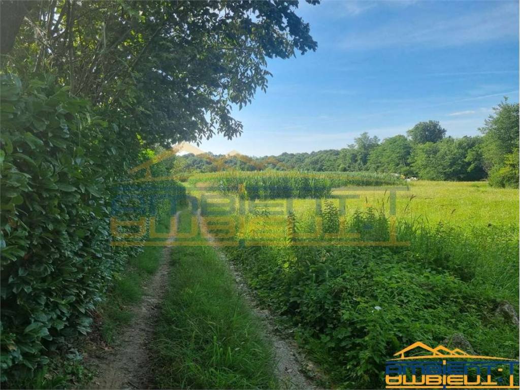 Terreno a Olgiate molgora in Via Ca' Bianca, 86 - Foto 3