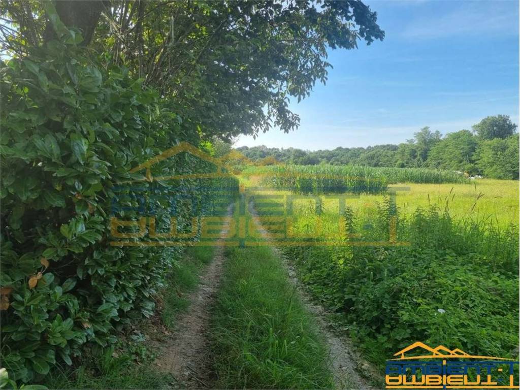 Terreno a Olgiate molgora in Via Ca' Bianca, 86 - Foto 5