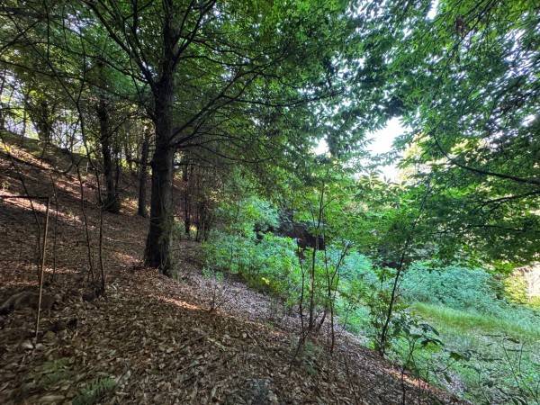 Rustico / casale a Paesana in Borgata Rossetti - Foto 3