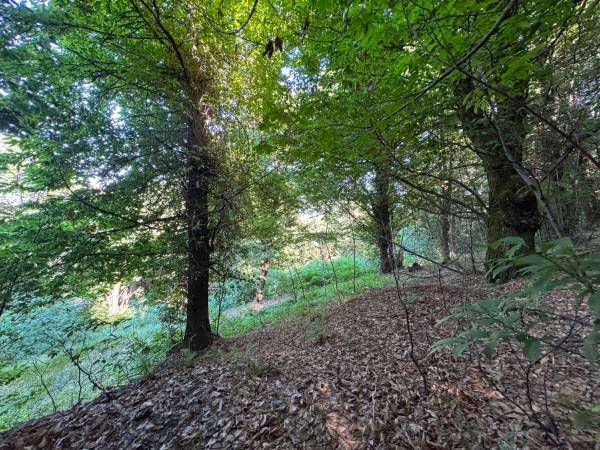 Rustico / casale a Paesana in Borgata Rossetti - Foto 4