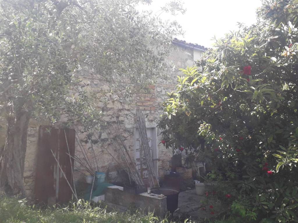 Rustico / casale a Manoppello in Contrada Carpelle - Foto 3