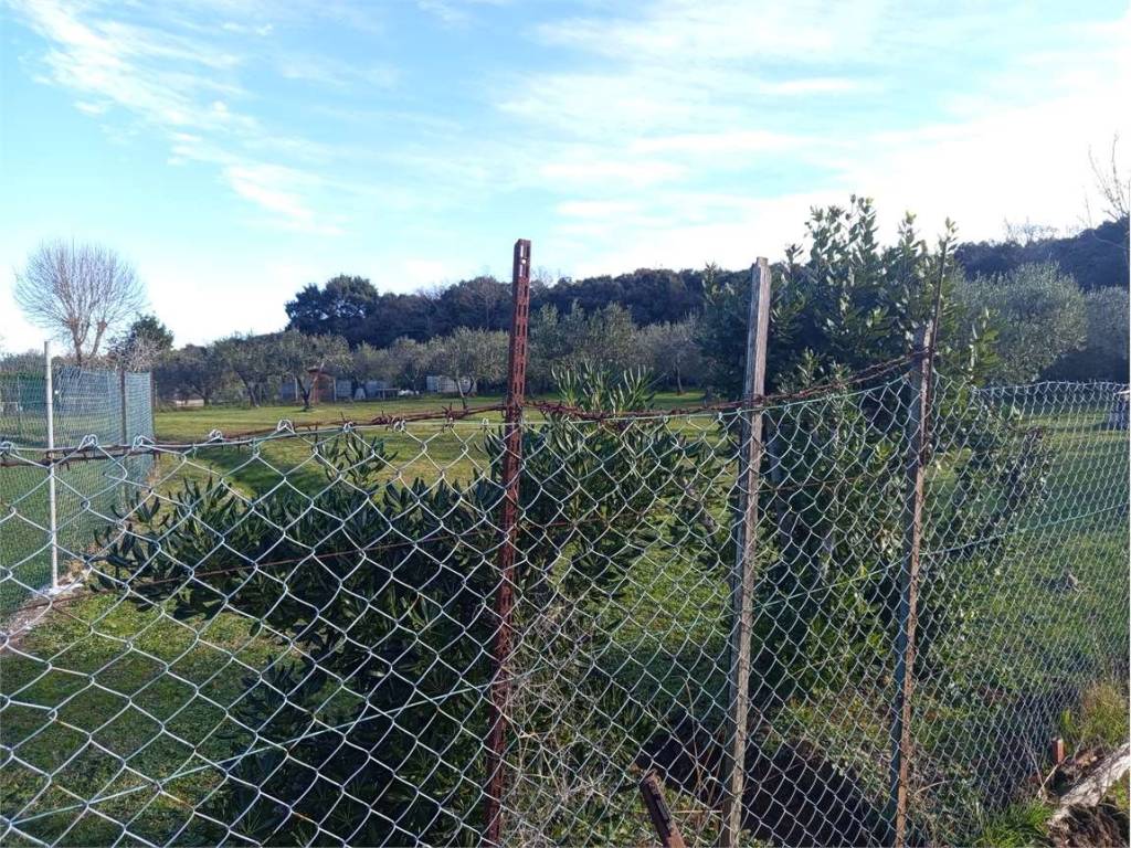 Terreno a Livorno - Foto 2