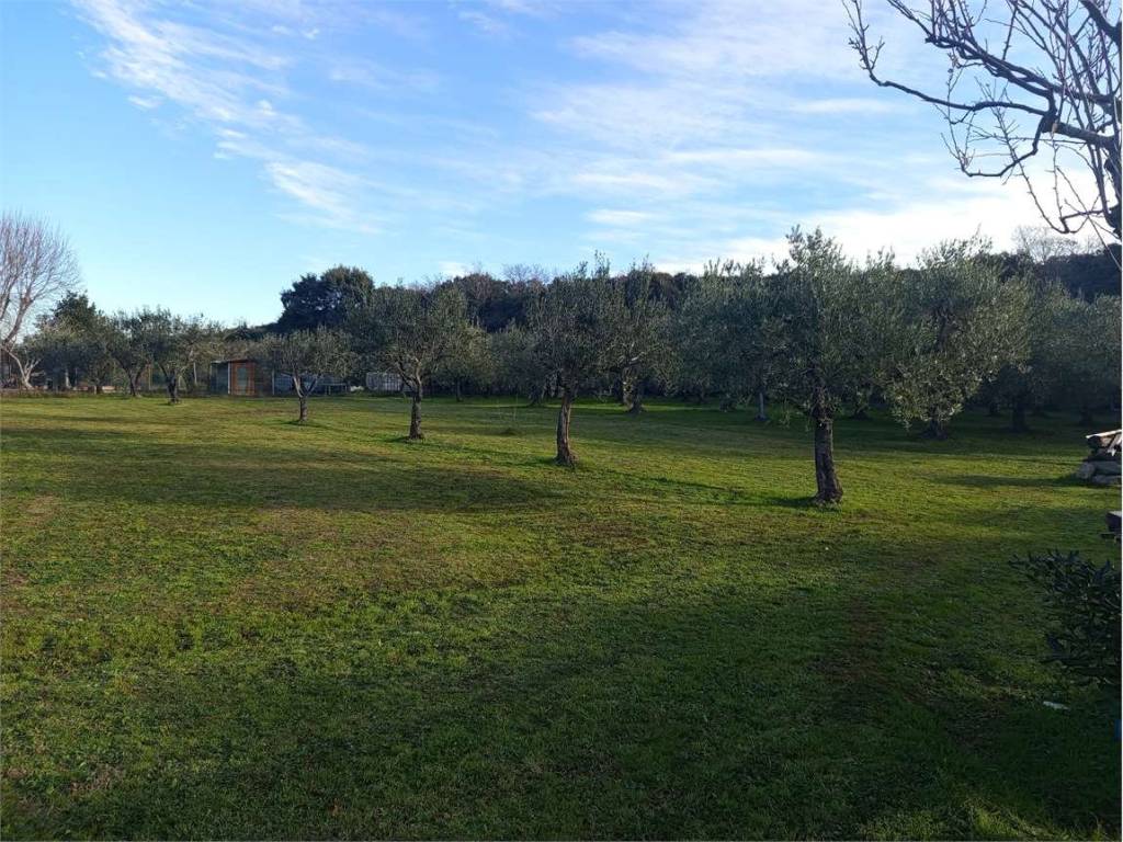 Terreno a Livorno - Foto 3