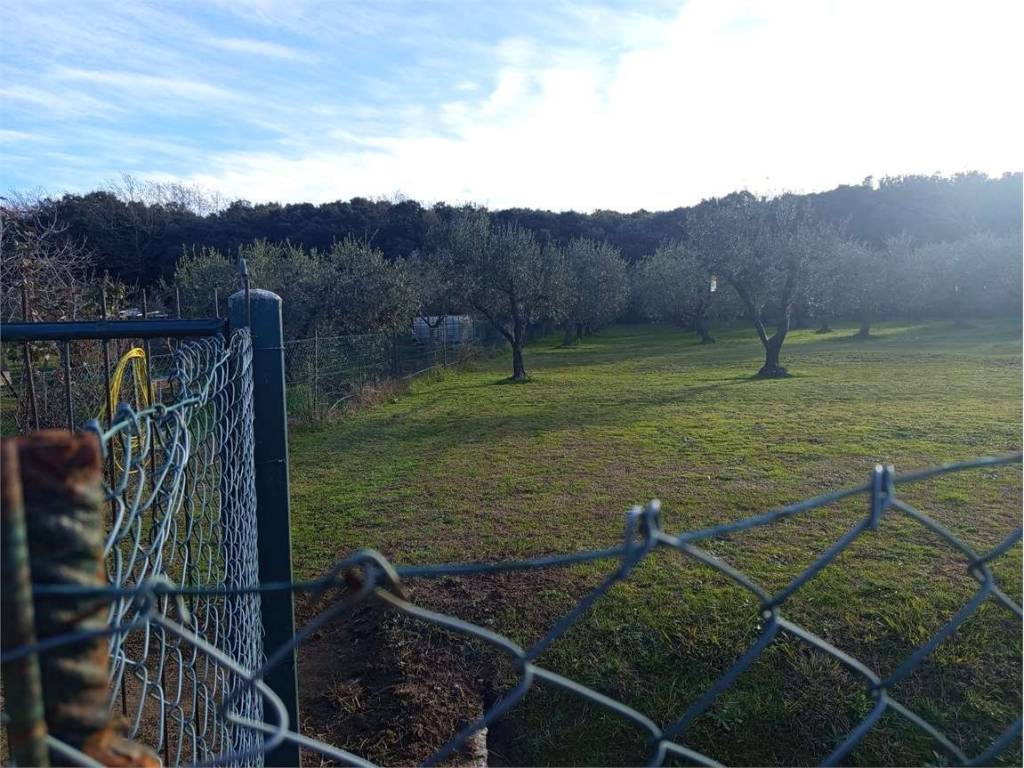 Terreno a Livorno - Foto 4