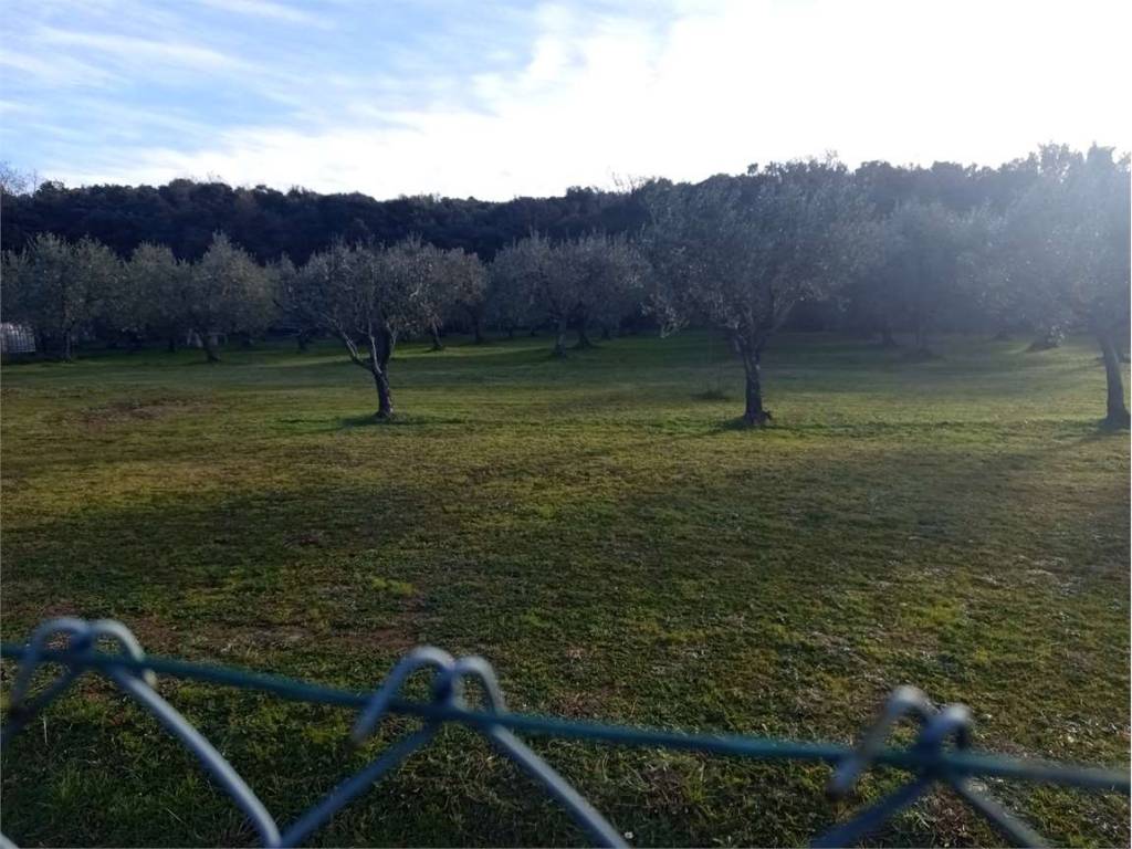 Terreno a Livorno - Foto 5