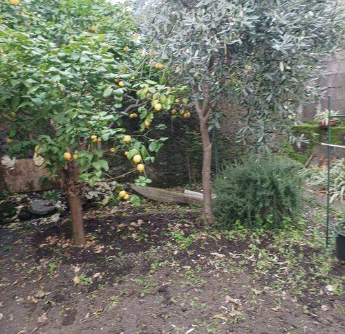 Casa indipendente a Giarre in Piazza San Vito Martire 13 - Foto 5
