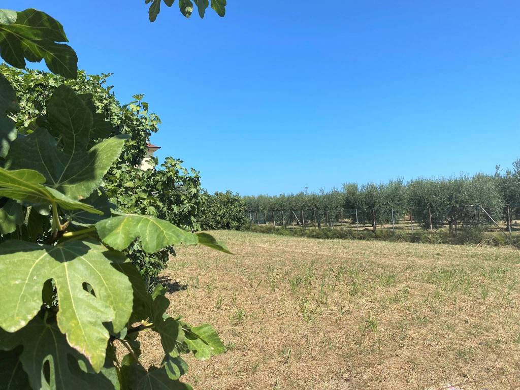 Terreno a Martinsicuro in Via Roma - Foto 3