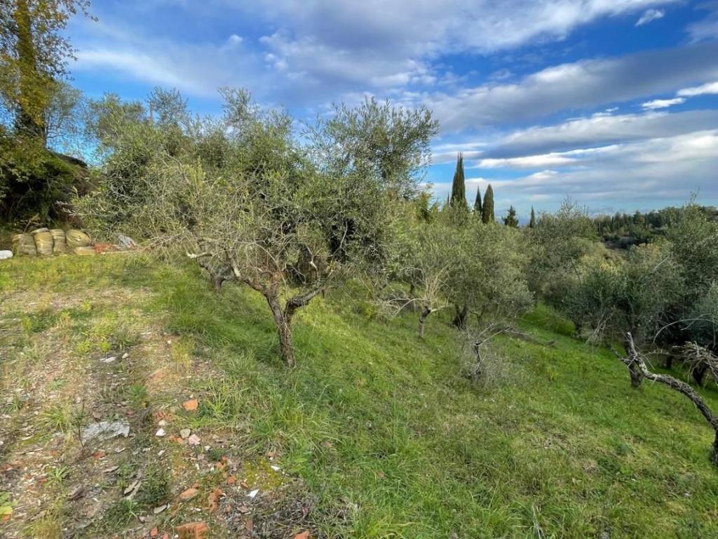 Terreno a Crespina e lorenzana - Foto 2