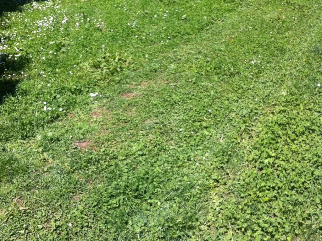 Terreno a San zeno naviglio - Foto 3