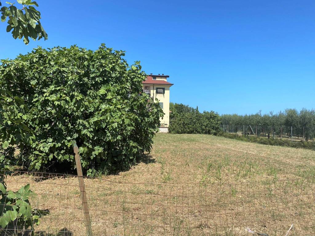 Terreno a Martinsicuro in Via Roma, 681 - Foto 5