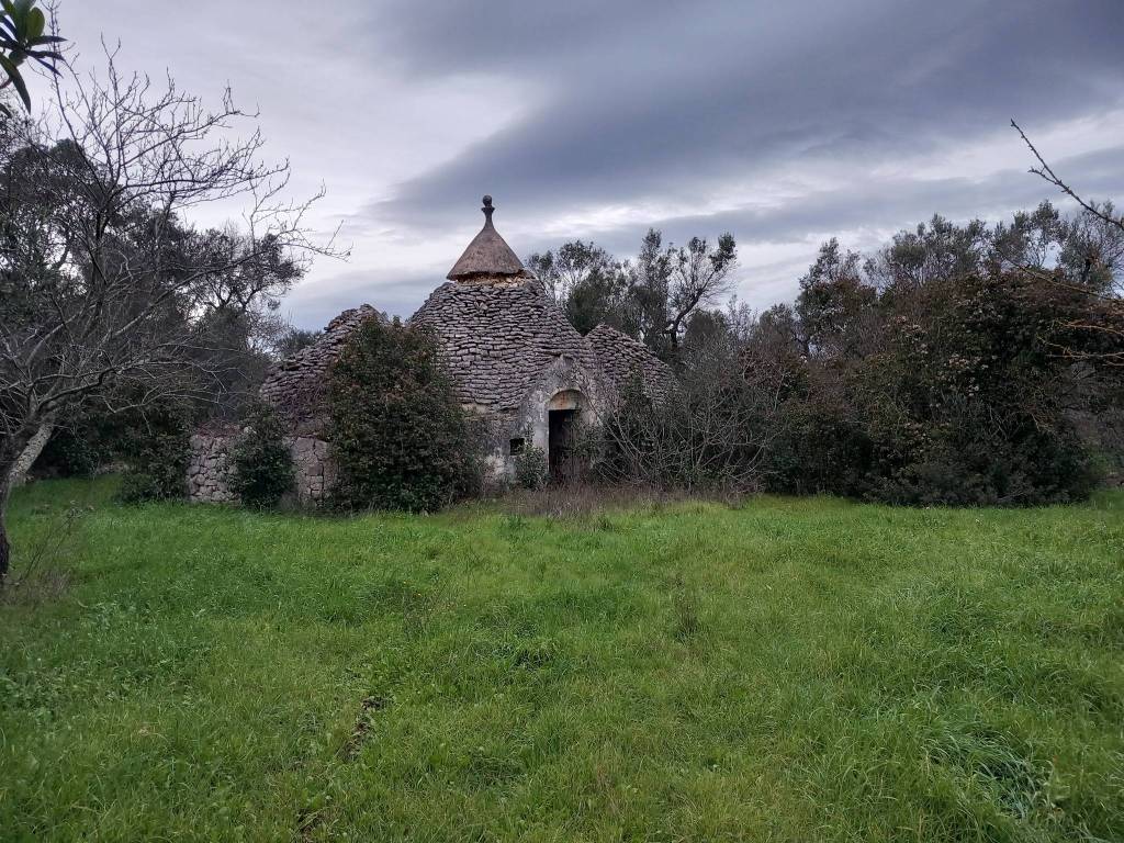Rustico / casale a Ceglie messapica in SS581 - Foto 2
