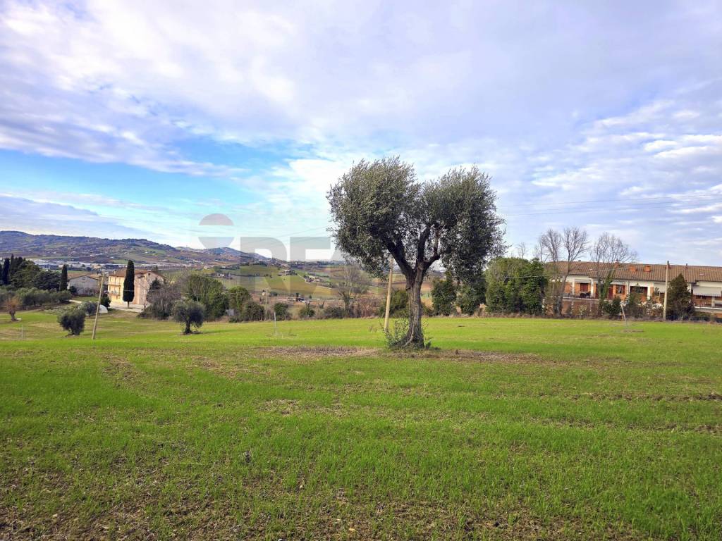 Terreno a Osimo - Foto 3