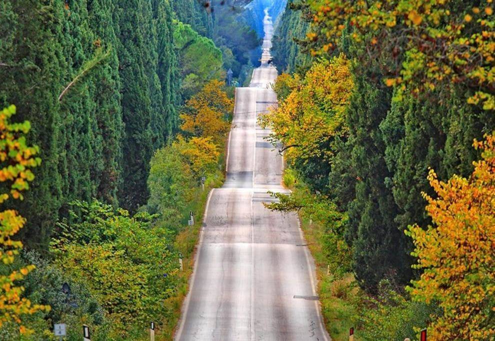 Appartamento a Castagneto carducci - Foto 3